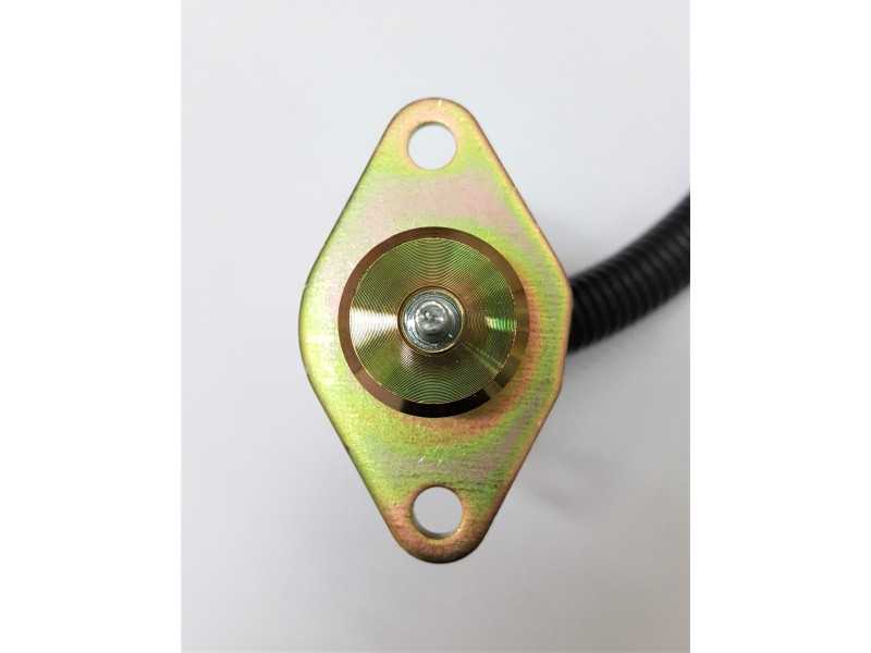 Elektrinis variklio gesinimo vožtuvas