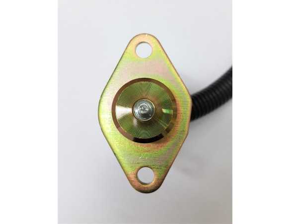 Elektrinis variklio gesinimo vožtuvas