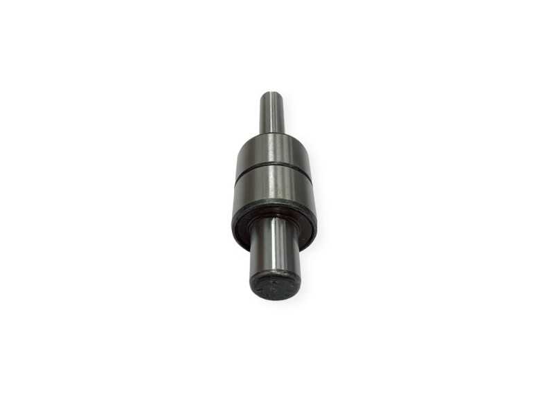 Vandens pompos guolis