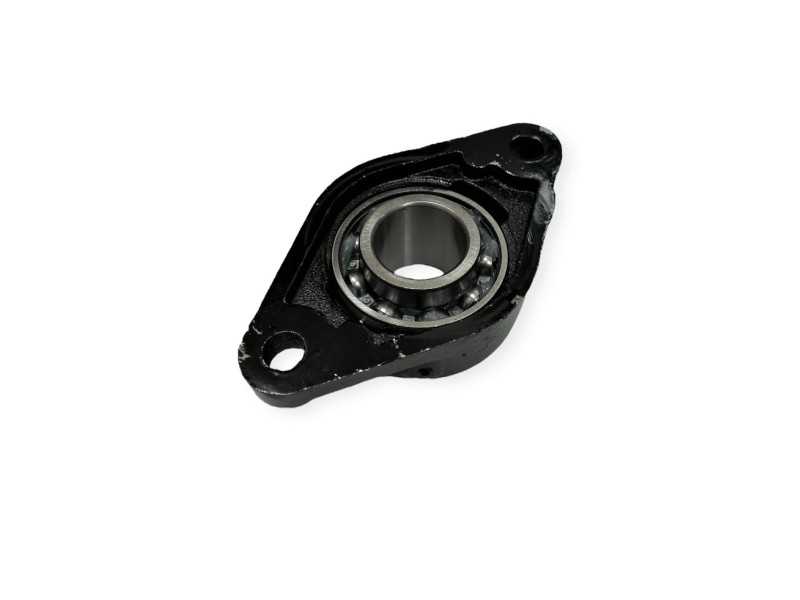 Guolis su guoliaviete