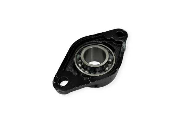 Guolis su guoliaviete