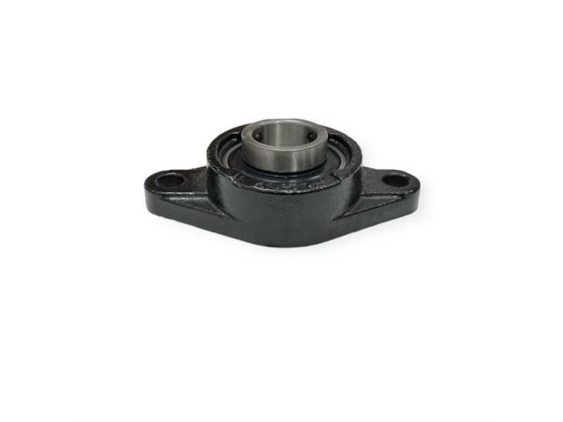 Guolis su guoliaviete