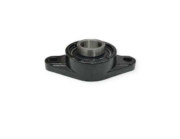 Guolis su guoliaviete