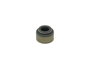 Valve gland