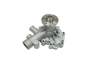 Water pump Iseki
