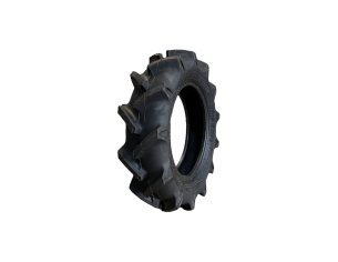 Padanga 6-14 Speedways
