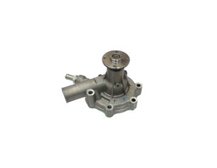 Water pump Solis