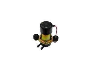 Electric fuel pump