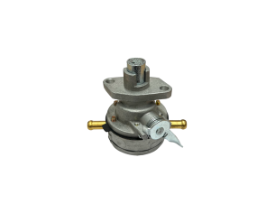 Low pressure fuel pump