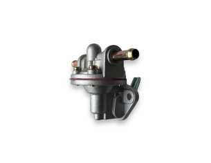 Low pressure fuel pump
