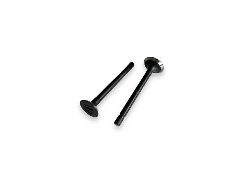 Valve Kit Kubota D750 (IN/EX)