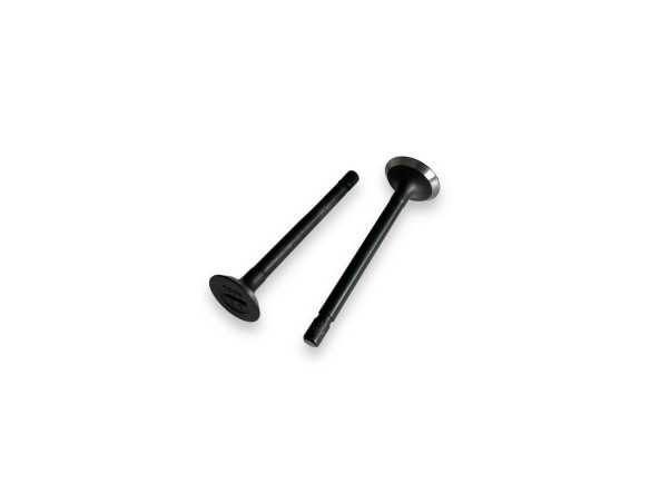 Valve Kit Kubota D750 (IN/EX)