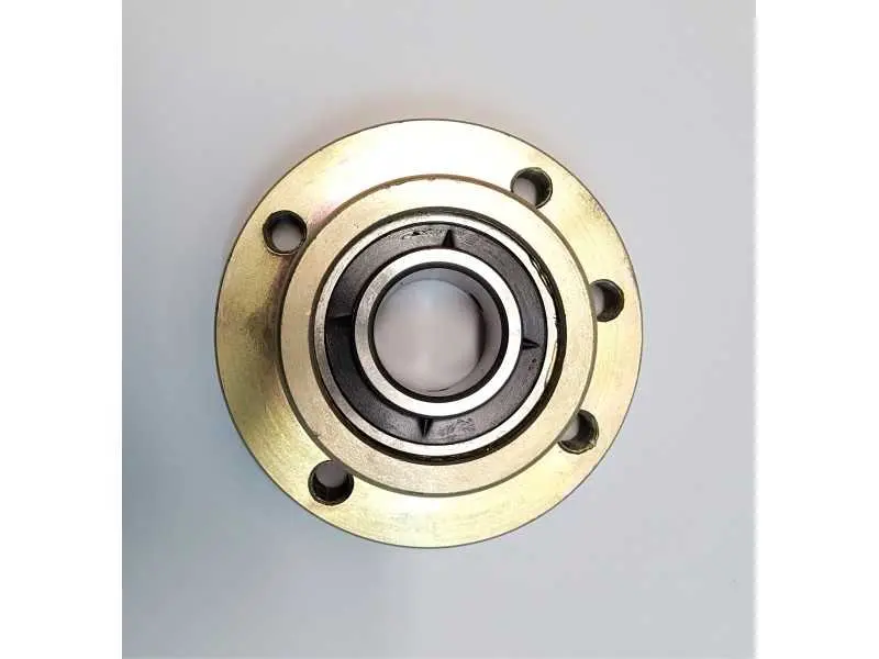 Guolis su guoliaviete UC207