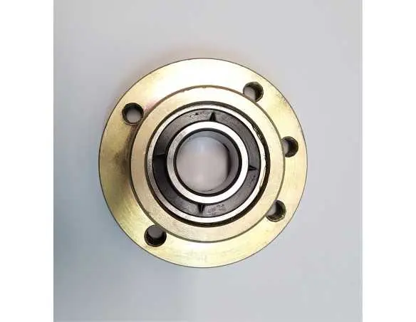 Guolis su guoliaviete UC207