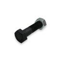 Винт с гайкой M12x50