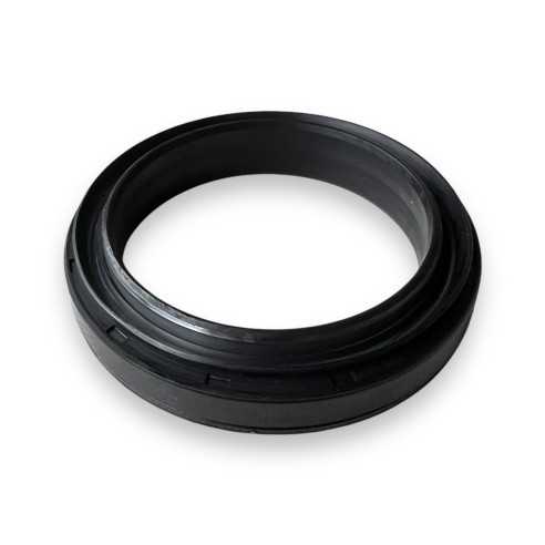 Rear axle seal 75x100x19 BQ2981E