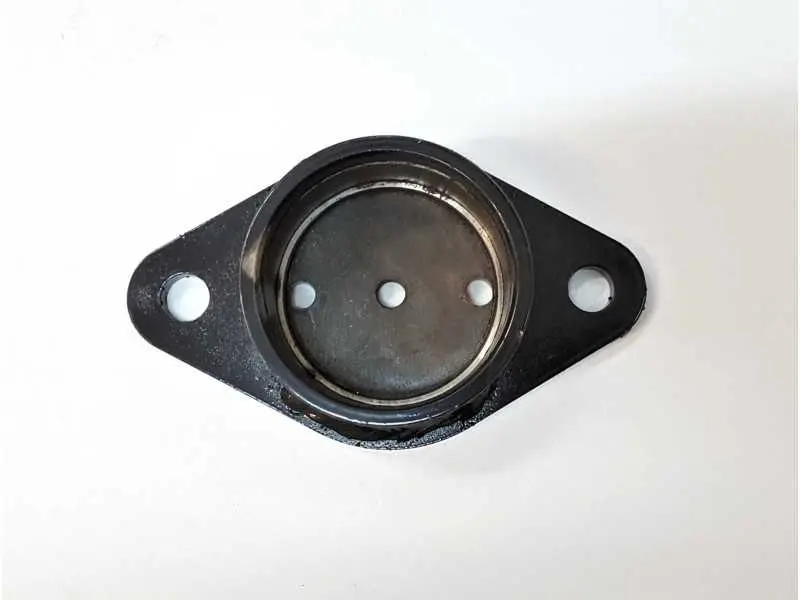 Guoliavietė BCR galinio veleno