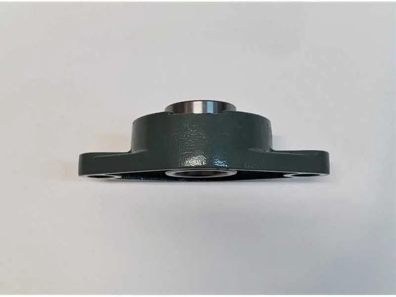 Guolis su guoliaviete UCFL207