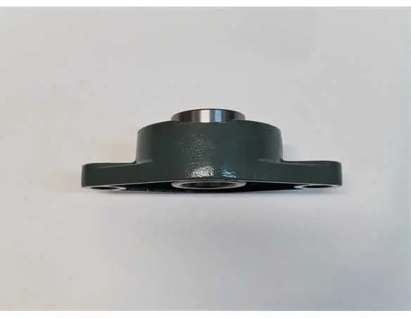 Guolis su guoliaviete UCFL207