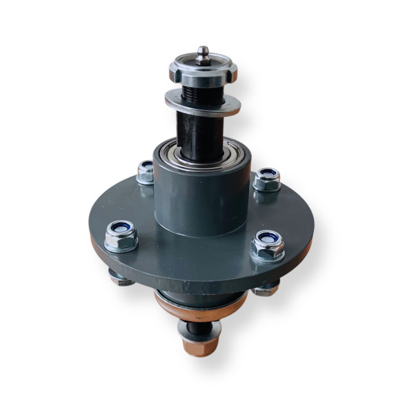 Guoliavietė su ašimi FM