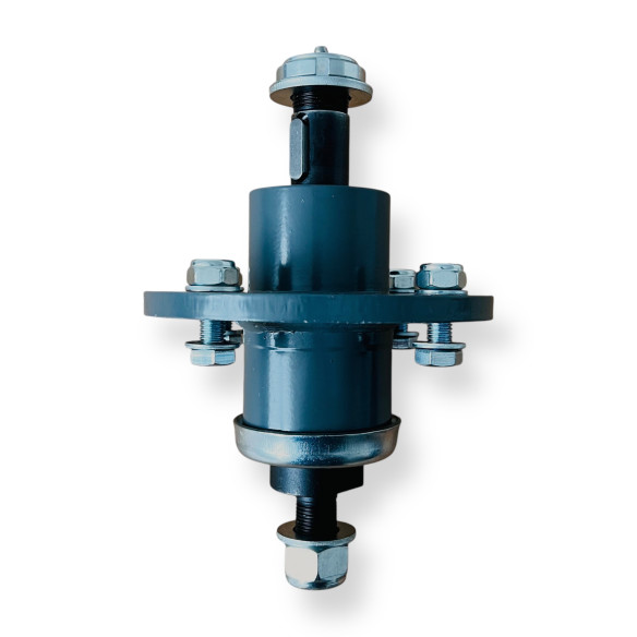 Guoliavietė su ašimi FM