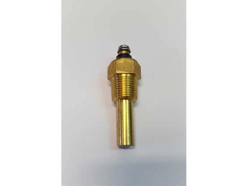 Temperatūros daviklis Chery RK504