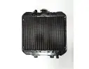 Radiatorius GW033