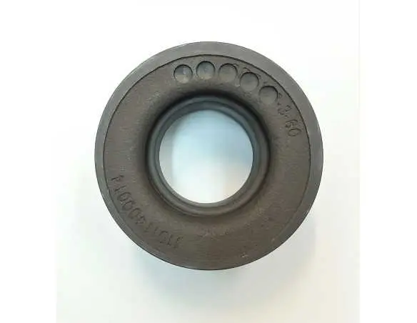 Skriemulys EF(GC2017)