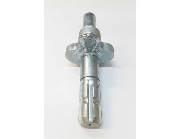 Bulviakasės velenas